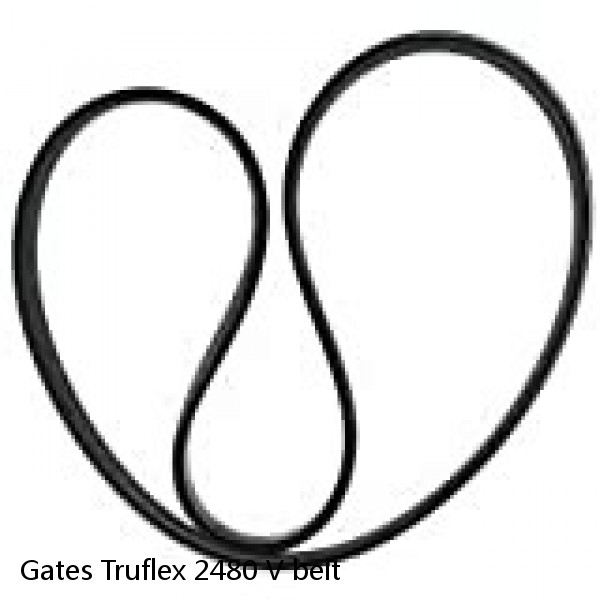 Gates Truflex 2480 V belt