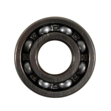 SKF 6205-2RS Deep Groove Ball Bearings 6206-2RS, 6207-2RS, 6208-2RS, 6210-2RS Zz C3 Agricultural Machinery / Auto Bearing