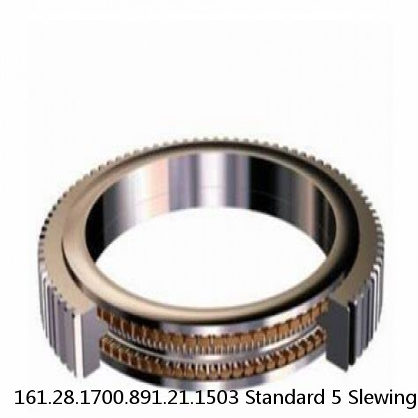 161.28.1700.891.21.1503 Standard 5 Slewing Ring Bearings
