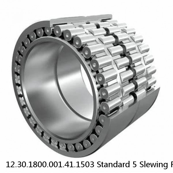 12.30.1800.001.41.1503 Standard 5 Slewing Ring Bearings