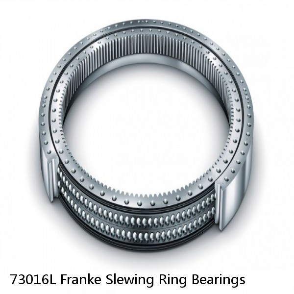 73016L Franke Slewing Ring Bearings