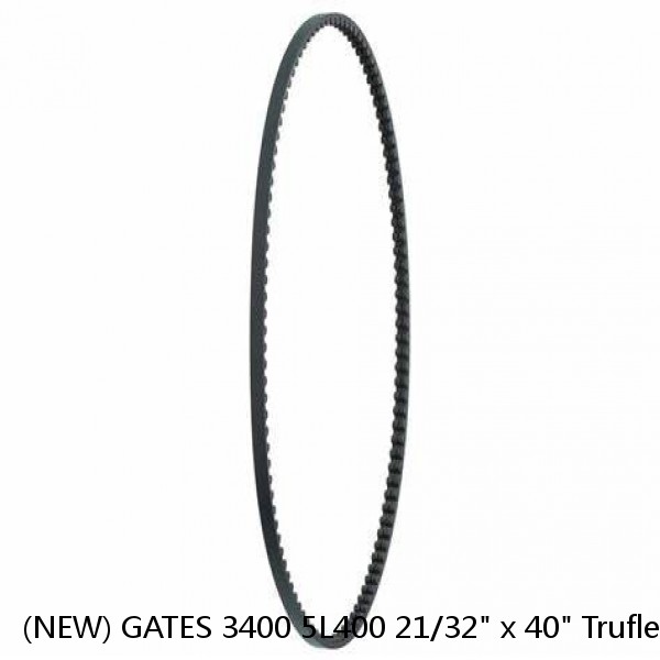 (NEW) GATES 3400 5L400 21/32" x 40" Truflex V-Belt #1 small image