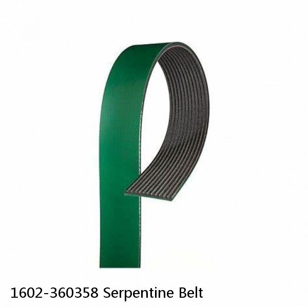 1602-360358 Serpentine Belt #1 small image