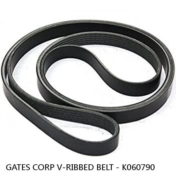 GATES CORP V-RIBBED BELT - K060790