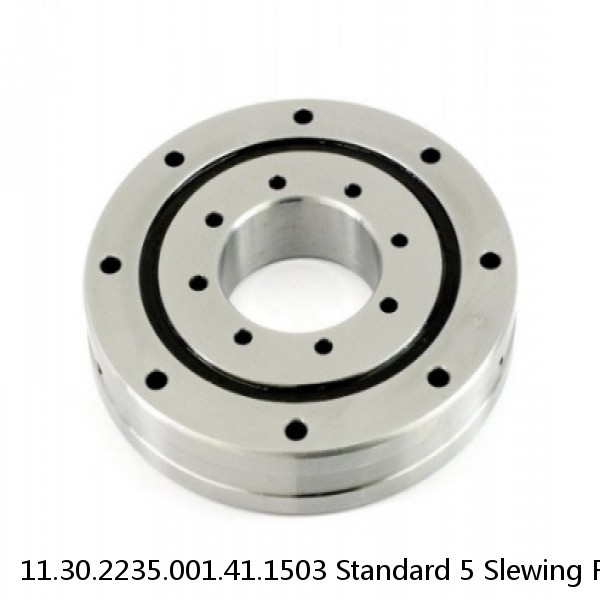 11.30.2235.001.41.1503 Standard 5 Slewing Ring Bearings #1 image