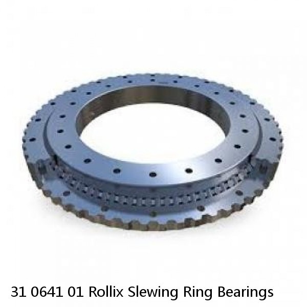 31 0641 01 Rollix Slewing Ring Bearings #1 image