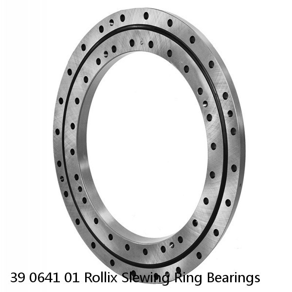 39 0641 01 Rollix Slewing Ring Bearings #1 image