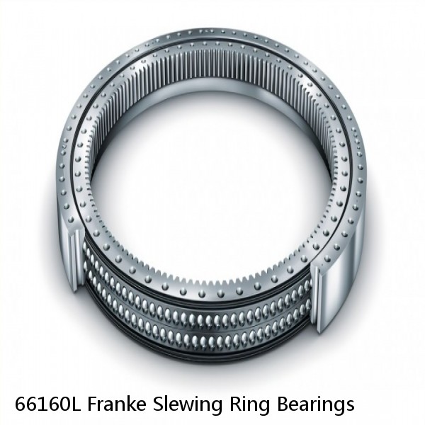 66160L Franke Slewing Ring Bearings #1 image