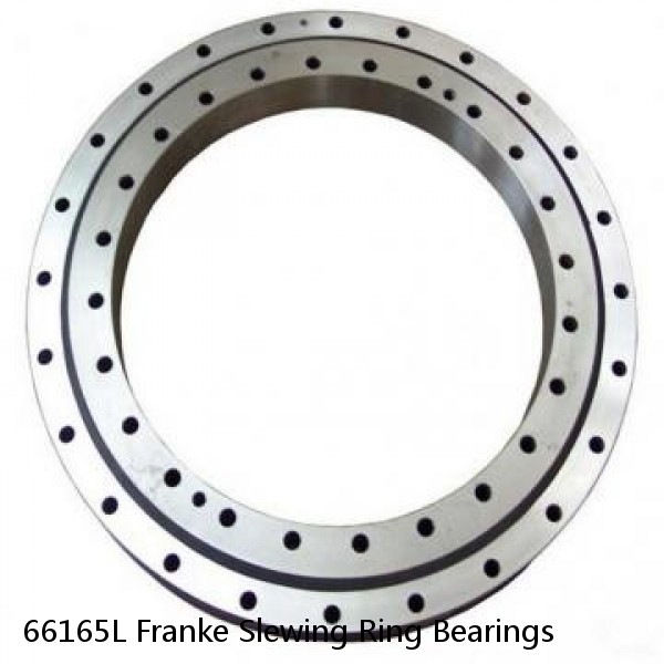 66165L Franke Slewing Ring Bearings #1 image