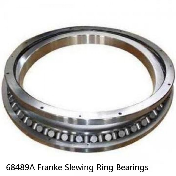 68489A Franke Slewing Ring Bearings #1 image