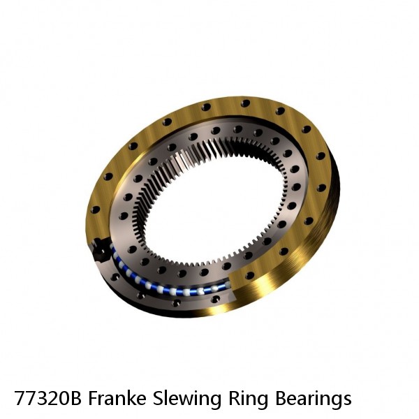 77320B Franke Slewing Ring Bearings #1 image