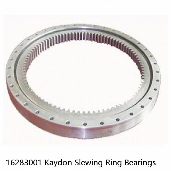 16283001 Kaydon Slewing Ring Bearings #1 image