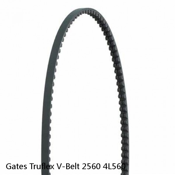 Gates Truflex V-Belt 2560 4L560 #1 image