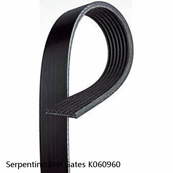 Serpentine Belt Gates K060960 #1 image