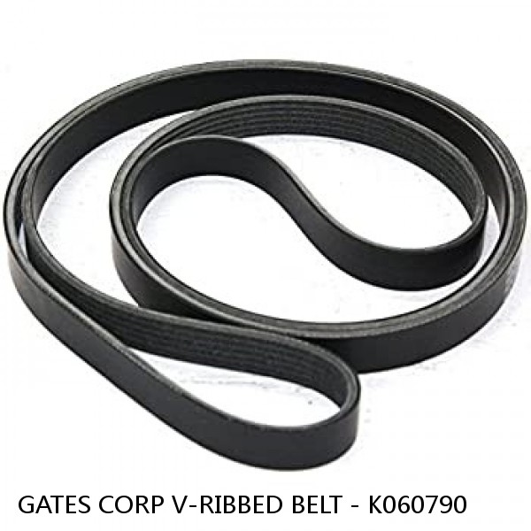 GATES CORP V-RIBBED BELT - K060790 #1 image