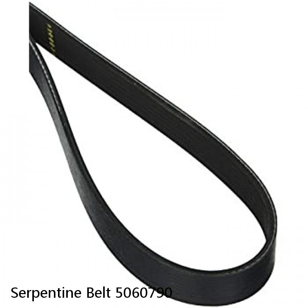 Serpentine Belt 5060790 #1 image